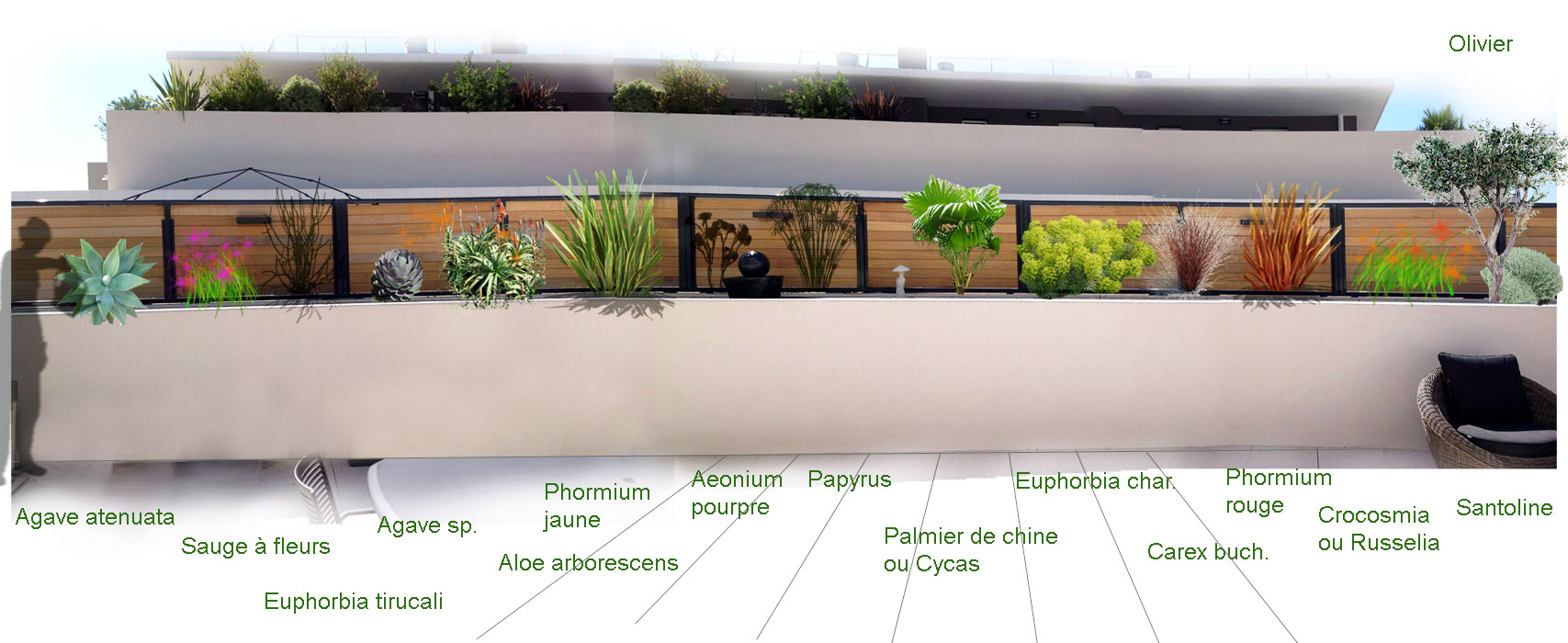 ensp paysagiste diplomé concepteur projet arbres plantes marseille