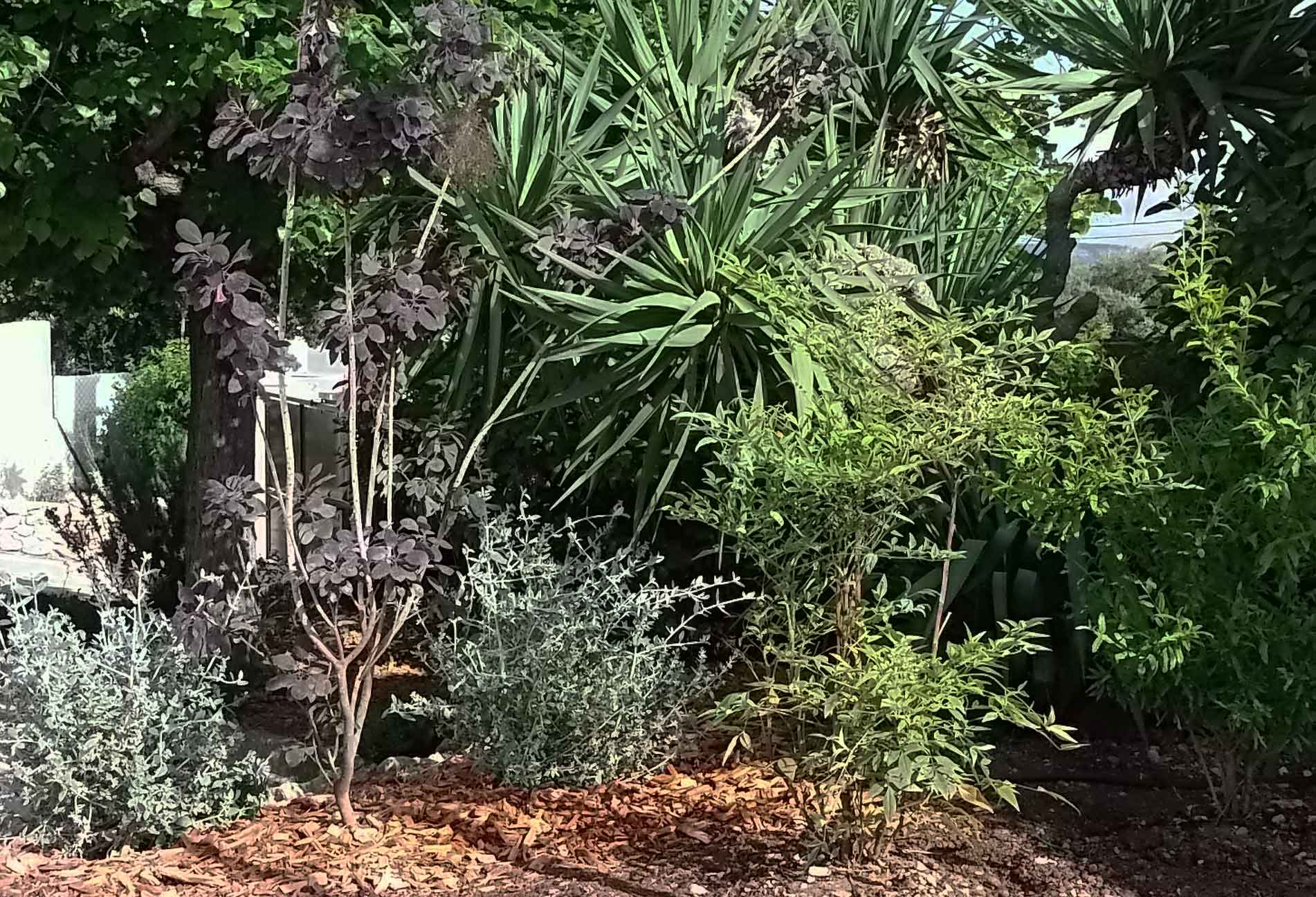 concevoir créer aménager conception aménagement jardin terrasse marseille
