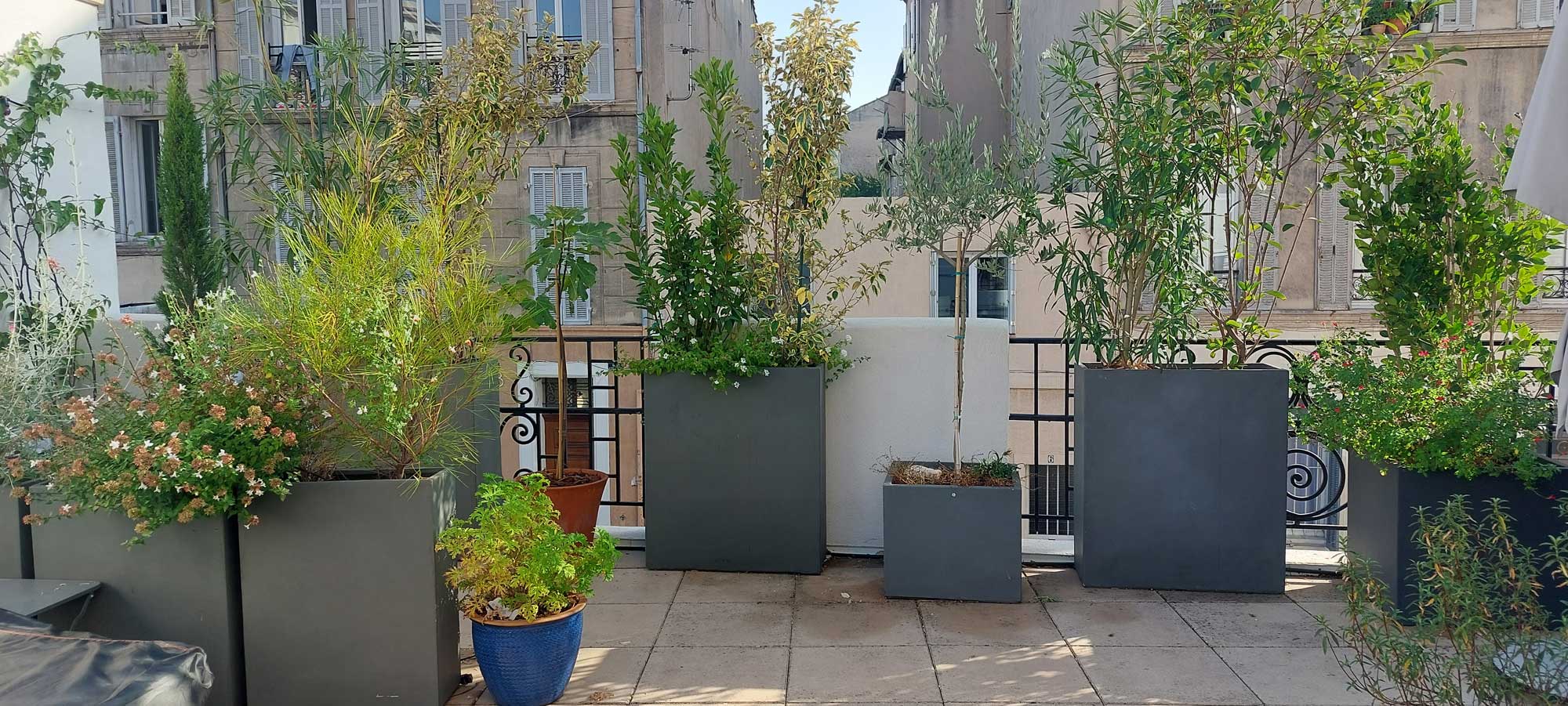 amenagement terrasse paysagiste jardinier marseille 13005